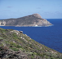 Bald Head Walking Track - Accommodation in Brisbane