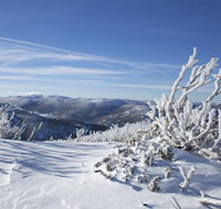 Rock Creek snowshoe track - Accommodation in Brisbane