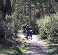 Syd's Rapids and Aboriginal Heritage Trail Avon Valley - Accommodation in Brisbane