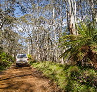 Barrington trail - Accommodation in Brisbane