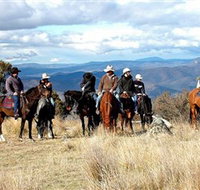 Snowy Wilderness - Accommodation in Brisbane