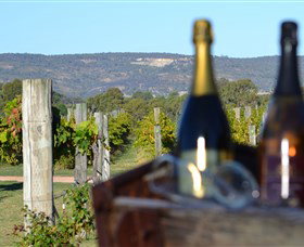 Ugly Duckling Wines - Accommodation in Brisbane 1