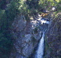 Lyrebird Falls walking track - Accommodation in Brisbane