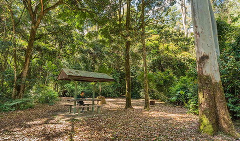 Tooloom National Park - Accommodation in Brisbane 0