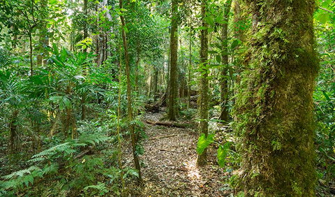 Tooloom National Park - Accommodation in Brisbane 2