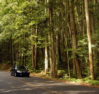 Greater Blue Mountains drive - Accommodation in Brisbane