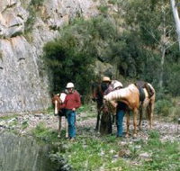 Yarramba Horse Riding - Accommodation in Brisbane
