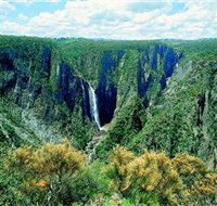 Wollomombi Falls - Accommodation in Brisbane