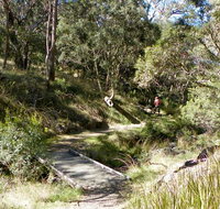 Wollomombi walking track - Accommodation in Brisbane