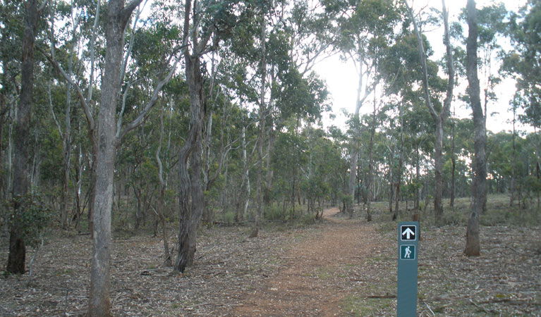  Accommodation in Brisbane