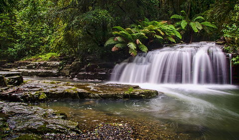Rocky Crossing Walk - Accommodation in Brisbane 0