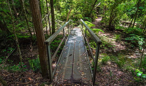 Rocky Crossing Walk - Accommodation in Brisbane 2