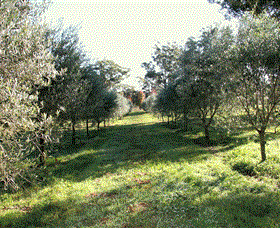 Langdale Farm - Accommodation in Brisbane