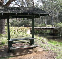 Barrington Tops State Forest - Accommodation in Brisbane