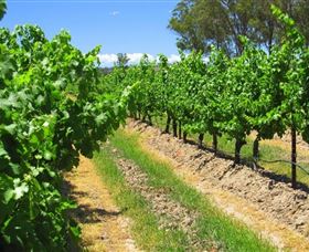 Misty Glen Wines And Cottage - Accommodation in Brisbane 1