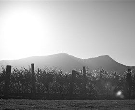 Scarborough Wine Co. - Accommodation in Brisbane 1