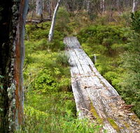 Gloucester Tops circuit - Accommodation in Brisbane