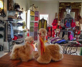 Australian Alpaca Barn - Hunter Valley Gardens - Accommodation in Brisbane 2