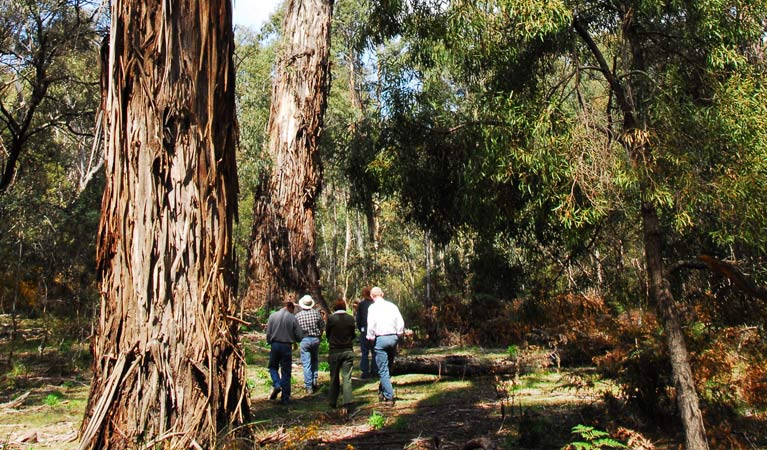 Araluen NSW Accommodation in Brisbane