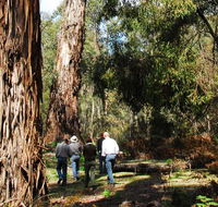 Tallaganda National Park - Accommodation in Brisbane
