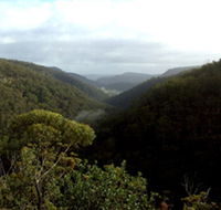 Nattai Gorge Lookout - Accommodation in Brisbane