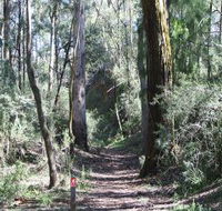 Box Vale Mine Walking Track and Lookout - Accommodation in Brisbane