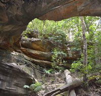 Cave Creek Walking Track - Accommodation in Brisbane