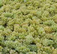 Normanby Wines - Accommodation in Brisbane