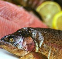 Lovedale Smokehouse Gourmet Pantry Cafe and Masterclasses - Accommodation in Brisbane