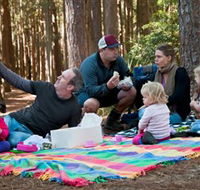 State Forests of the Watagan Mountains - Accommodation in Brisbane