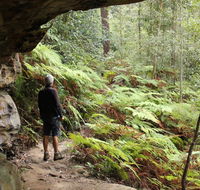 Dharug National Park - Accommodation in Brisbane