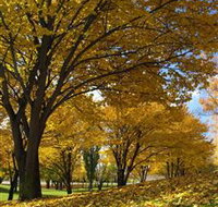 Centennial Park at Cooma - Accommodation in Brisbane