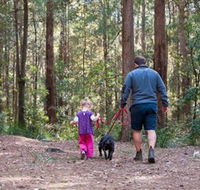 Olney State Forest - Watagan Mountains - Accommodation in Brisbane