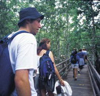 Bellthorpe National Park - Accommodation in Brisbane