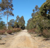 Werakata National Park - Accommodation in Brisbane