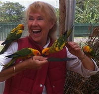 Maleny Botanic Gardens  Bird World - Accommodation in Brisbane