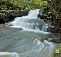 Jerusalem Creek trail - Accommodation in Brisbane