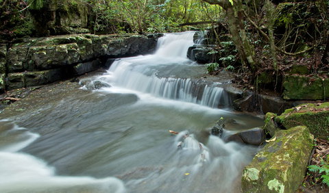 Jerusalem Creek Trail - Accommodation in Brisbane 0