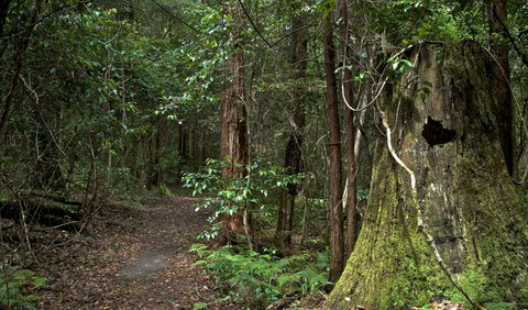 Jerusalem Creek Trail - Accommodation in Brisbane 1