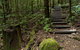 Jerusalem Creek Trail - thumb 2
