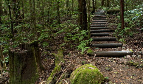 Jerusalem Creek Trail - Accommodation in Brisbane 2