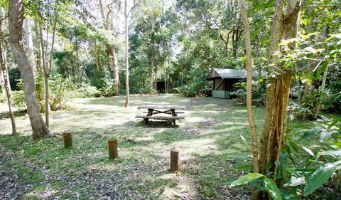 Toonumbar National Park - Accommodation in Brisbane 3