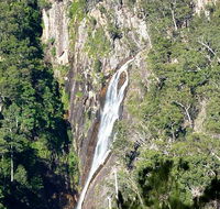 Carrai National Park - Accommodation in Brisbane