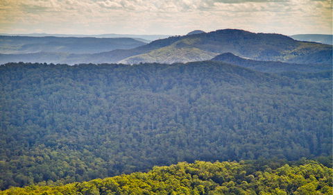 Murray Scrub Lookout - Accommodation in Brisbane 1