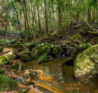 Palm Grove Nature Reserve - Accommodation in Brisbane