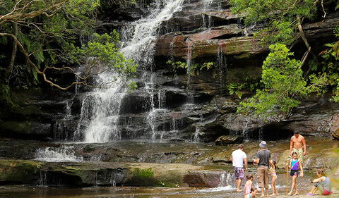 Somersby Falls Picnic Area - Accommodation in Brisbane 2
