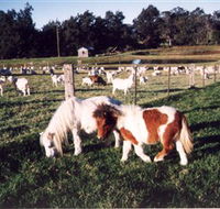 Trudgalong Farm - Accommodation in Brisbane