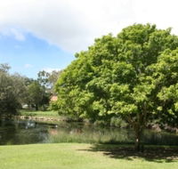 Hervey Bay Botanic Gardens - Accommodation in Brisbane