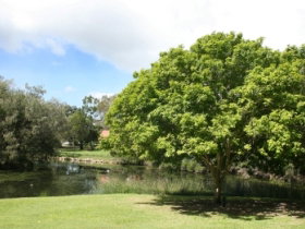 Hervey Bay Botanic Gardens - Accommodation in Brisbane 0