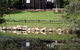 Hervey Bay Botanic Gardens - thumb 1